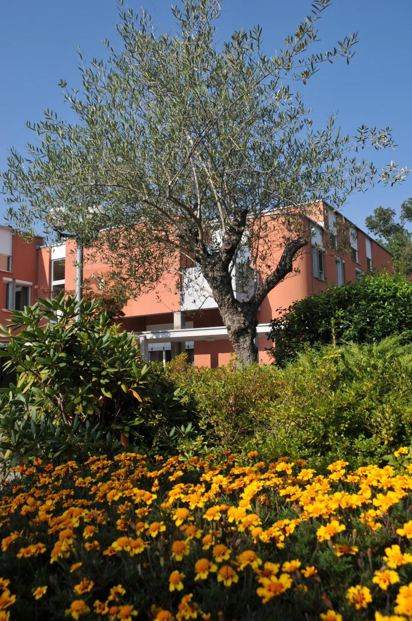 Centro Magliaso Hotell Exteriör bild